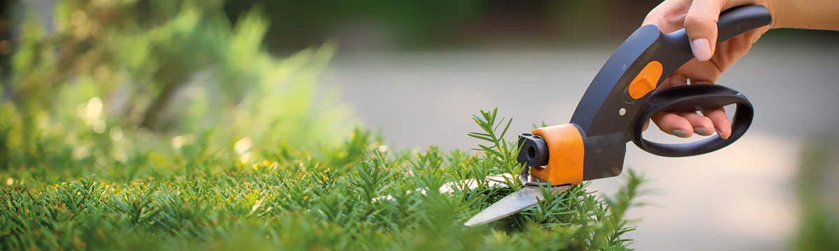 Accessoire pour outil motorisé Soldes 3 Accessoire pour outil motorisé Soldes -Accessoire pour outil motorisé Soldes shp entretien 0c375dcf dac1 43fb b49c